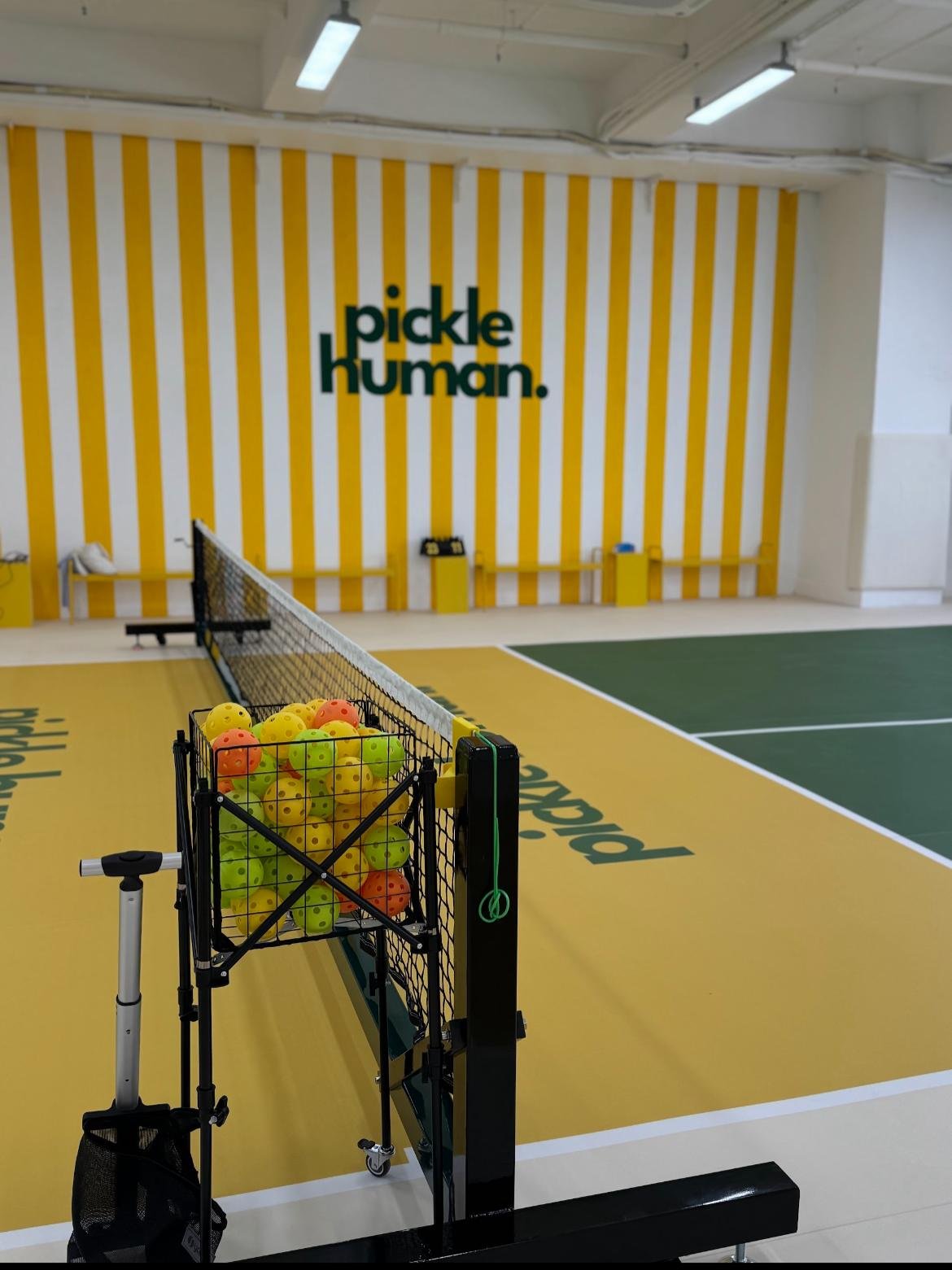Pickle Ball 新手速成班       💛💚2hrs 高質室內冷氣場  💛💛    嘩嘩嘩  出咗啦💛💛